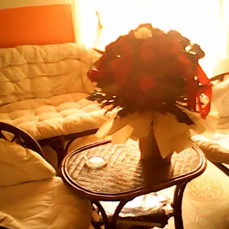 Guest house 